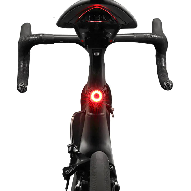 Bicycle Tail Light Warning Light for Safety