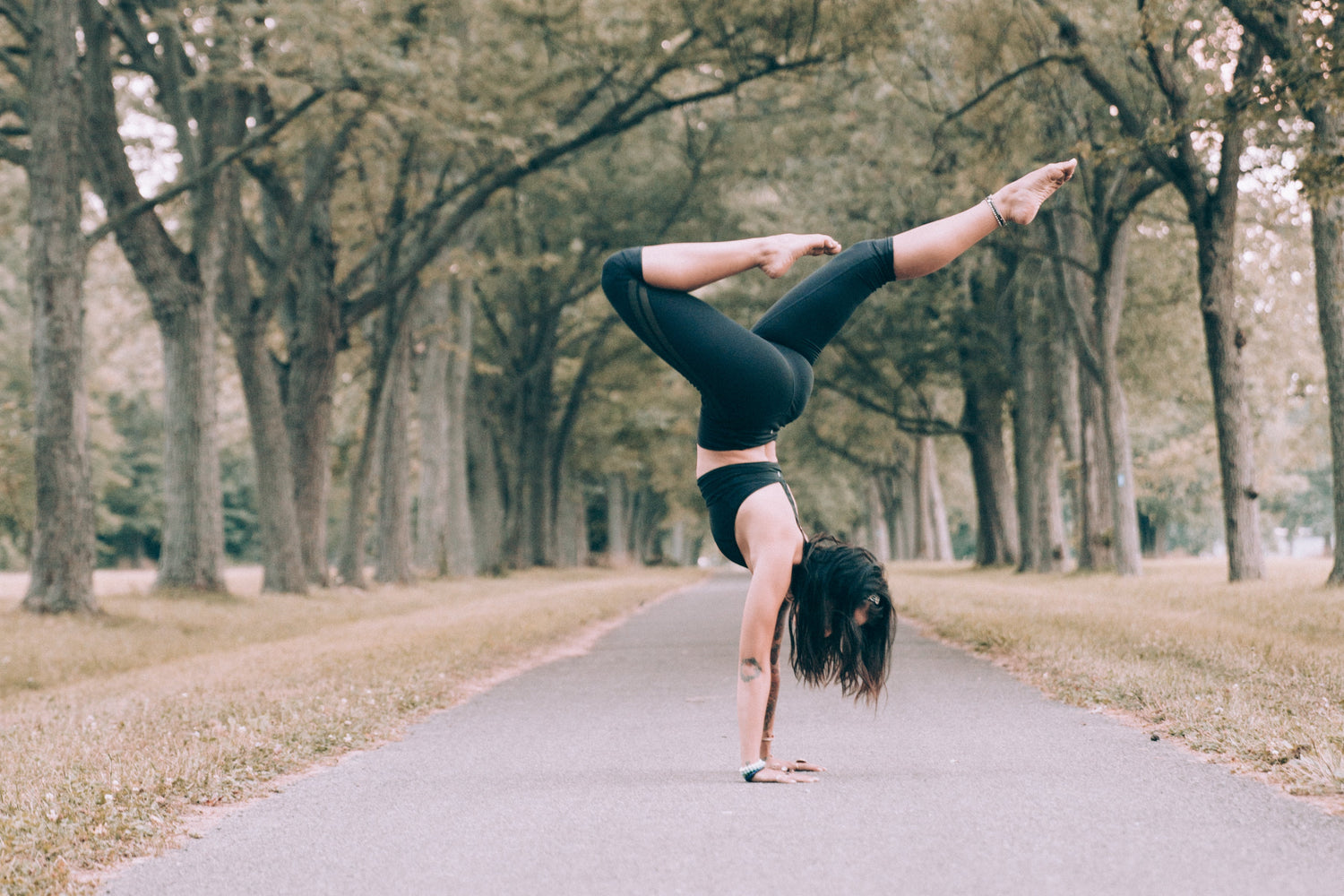 Fitness & Wellness